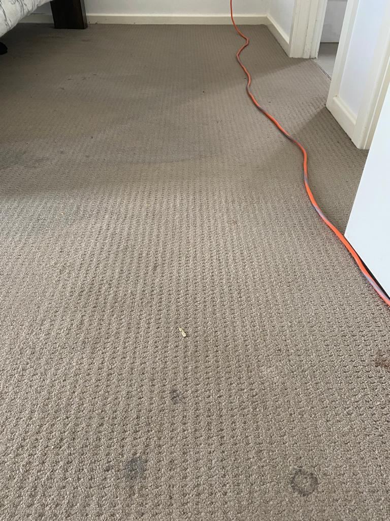 Bedroom carpet before cleaning Melbourne