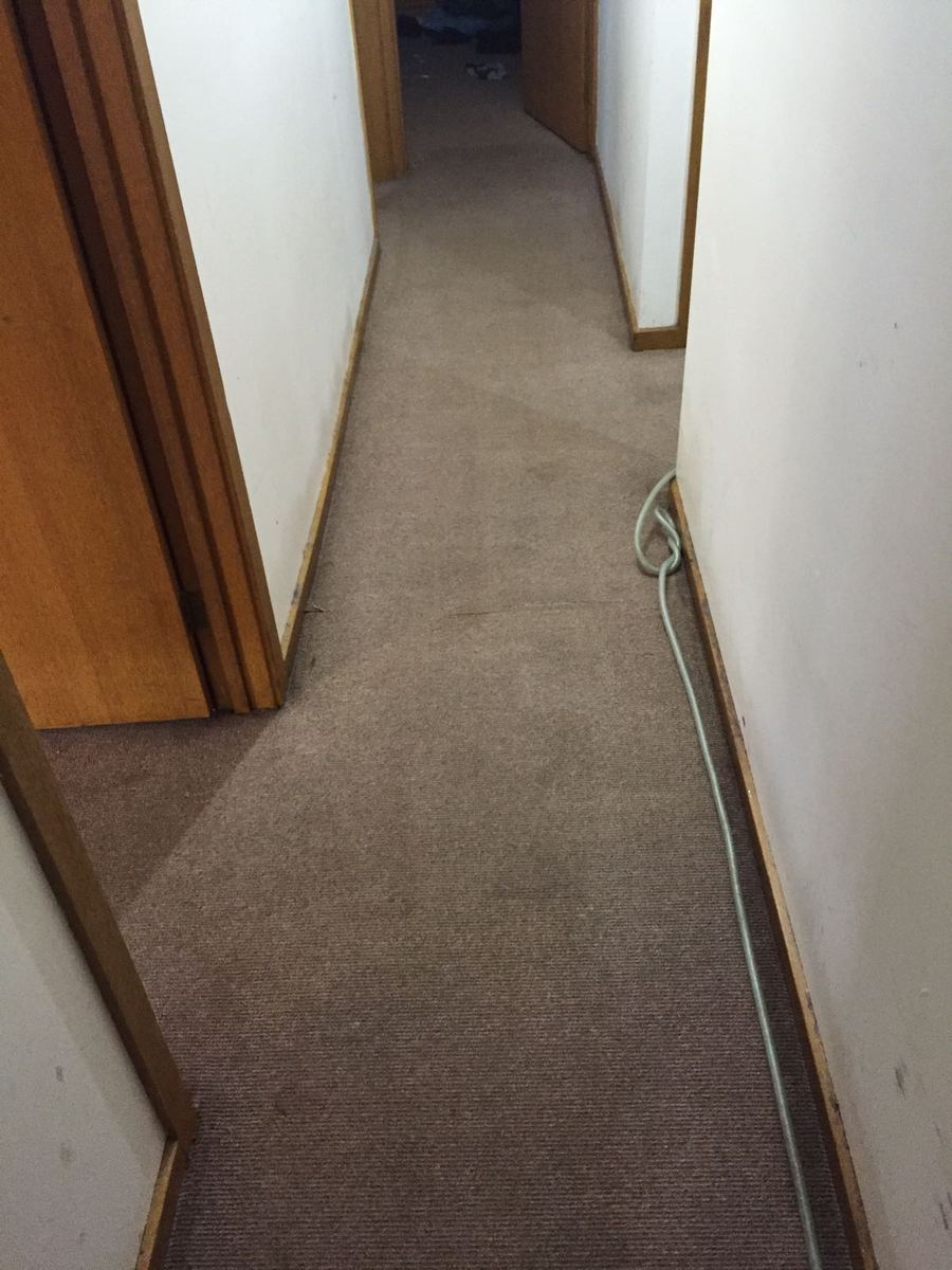 Hallway carpet after cleaning Melbourne