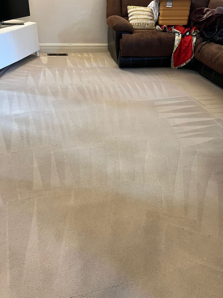 Carpet after cleaning Melbourne