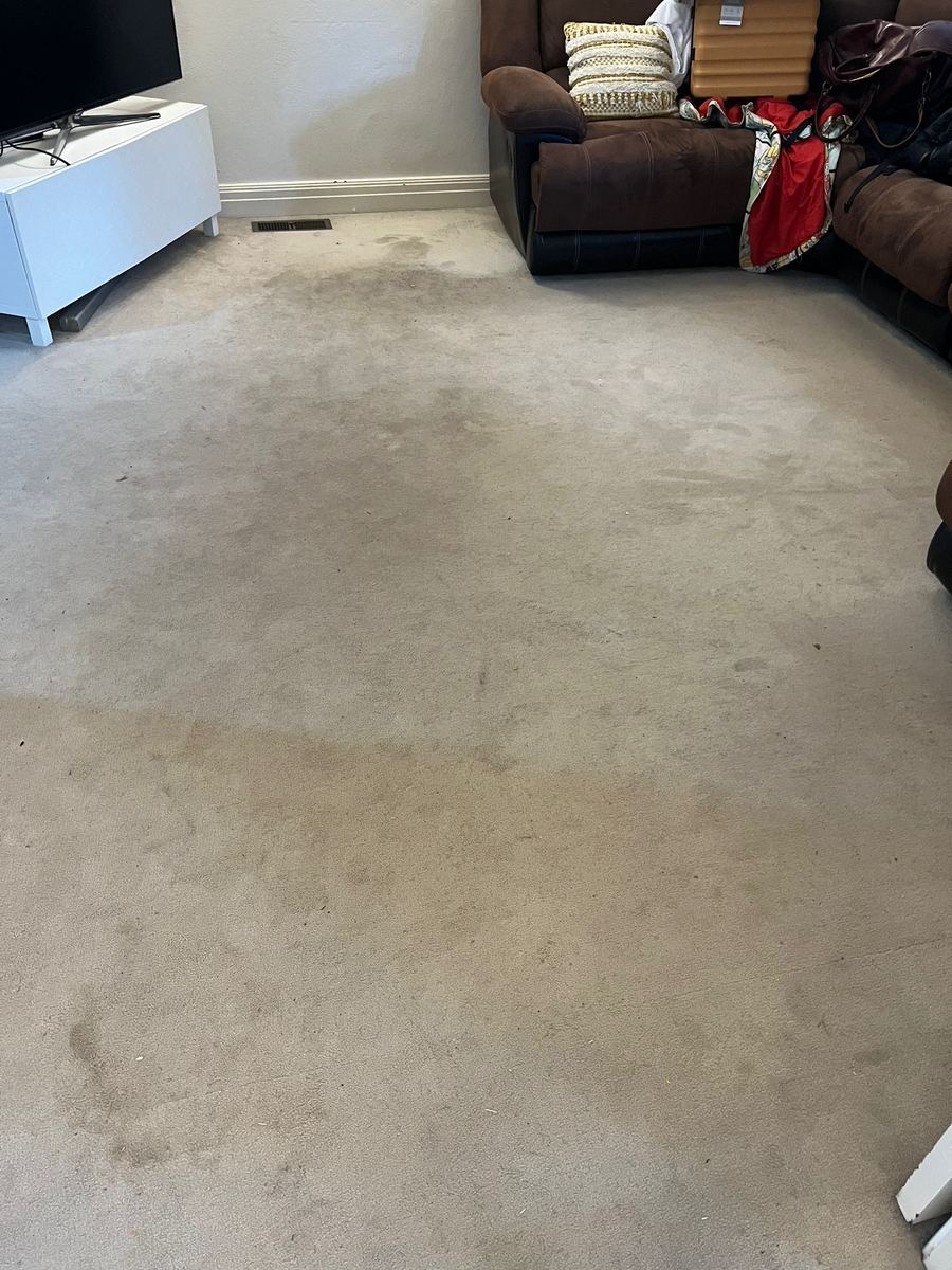 Carpet before cleaning Melbourne